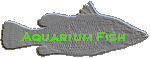 Aquarium Fish