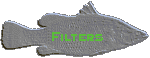 Filters