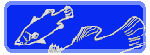 Fish Farm