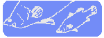 Fish Farm