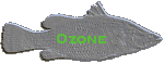 Ozone