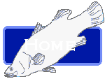 Tailor Made Fish Farms Home