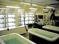 Research Systems : Research