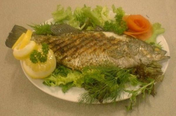 Plate Sized Barramundi : Barramundi