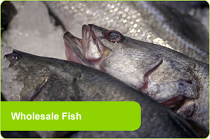 Wholesale Fish